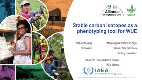 Stable carbon isotopes as a phenotyping tool for WUE