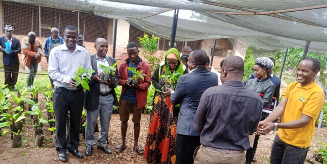 TARIBAN plantlet distribution in Maruku, Bukoba.