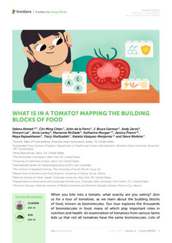 What is in a tomato. Mapping the building blocks of food