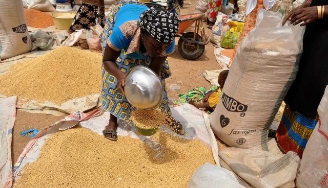 Woman-measuring-soybean-at-sales-point