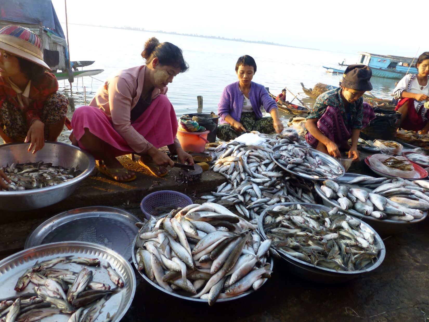Women fish processors in Cambodia. Photo by WorldFish
