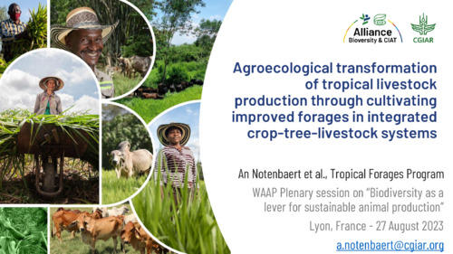 Agroecological transformation of tropical livestock production through cultivating improved forages in integrated crop-tree-livestock systems