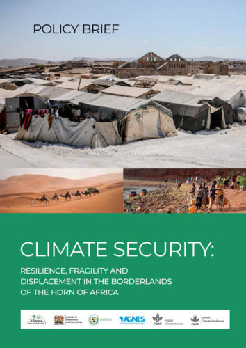 Climate security: Resilience, fragility and displacement in the borderlands of the Horn of Africa