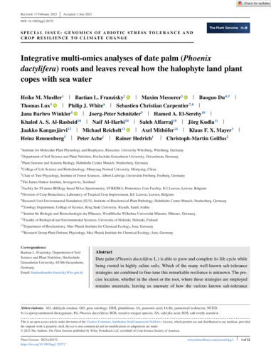 Integrative multi‐omics analyses of date palm (Phoenix dactylifera) roots