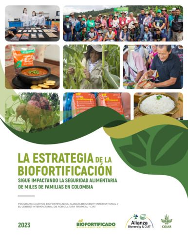La estrategia de la biofortificatión sigue impactando la seguridad alimentaria de miles de familias en Colombia
