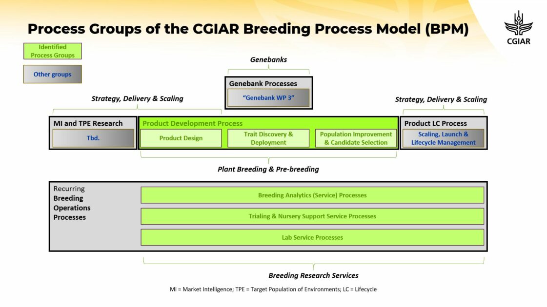Process groups of the CGIAR Breeding Process Model