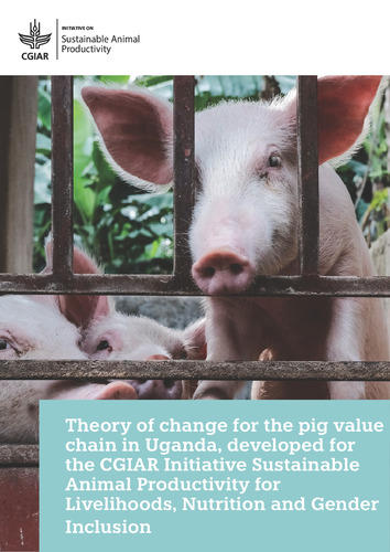 Theory of change for the pig value chain in Uganda, developed for the CGIAR Initiative Sustainable Animal Productivity for Livelihoods - Nutrition and Gender Inclusion