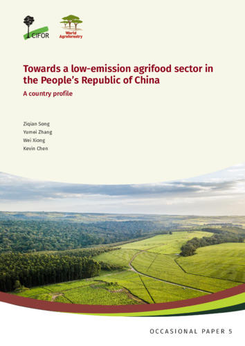 Towards a low-emission agrifood sector in China