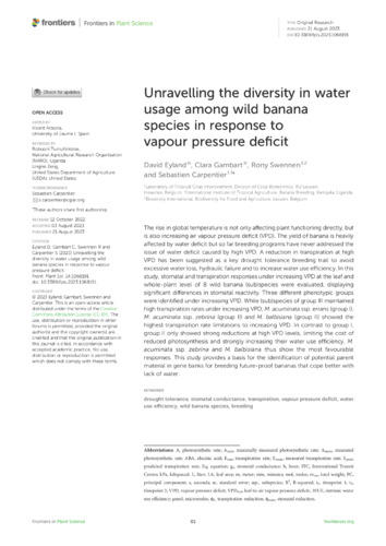 Unravelling the diversity in water usage among wild banana species in response to vapour pressure deficit