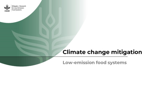Climate change mitigation - Low-emission food systems.