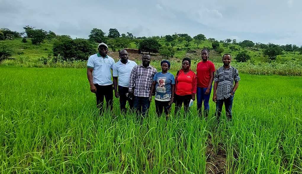 During field engagement on rice with Extension Officers.