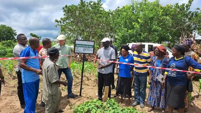 Engagement of GAIN by IITA.