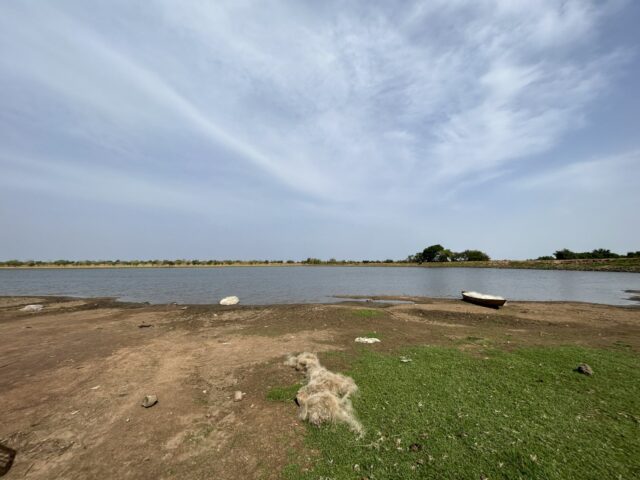 Pilot reservoir in NE Ghana. Photo by Giulia Zane/IWMI.