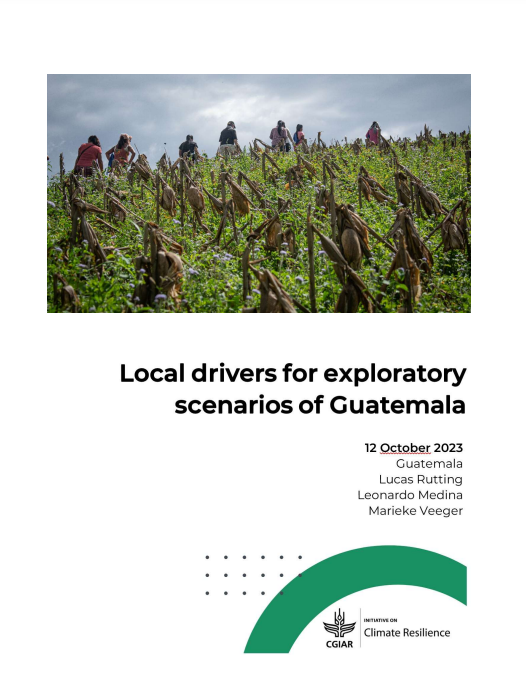 Local drivers for exploratory scenarios of Guatemala