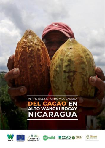 Perfil del mercado y la cadena del cacao en Alto Wangki Bocay, Nicaragua