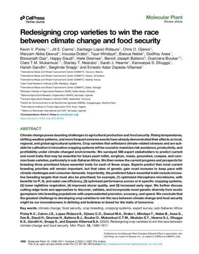 Redesigning crop varieties to win the race between climate change and food security