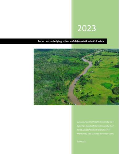 Report on underlying drivers of deforestation in Colombia