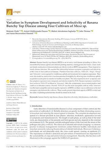 Variation in symptom development and infectivity of Banana Bunchy Top Disease among four cultivars of Musa sp