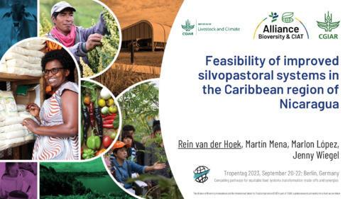 Feasibility of improved silvopastoral systems in the Caribbean region of Nicaragua