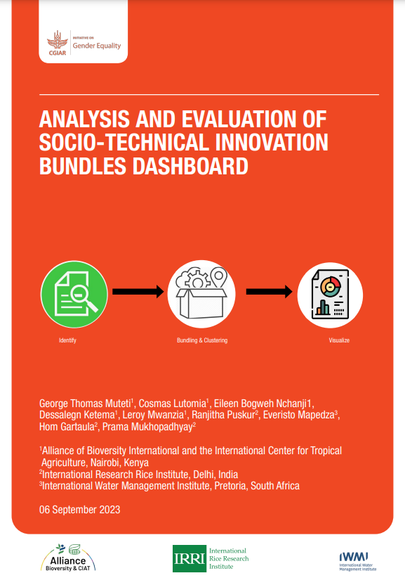 Analysis and evaluation of socio-technical innovation bundles dashboard