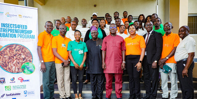 BIP CEO Dr Debo Akande (m) with participants at the BIP Insect4feed training.