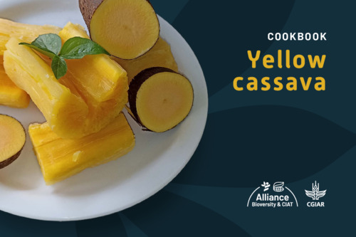 COOKBOOK Yellow cassava