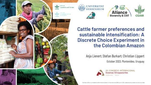 Cattle-farmer-preferences-and-sustainable-intensification-A-Discrete-Choice-Experiment-in-the-Colombian-Amazon