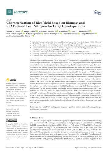 Characterization of rice yield based on biomass and SPAD-based leaf nitrogen for large genotype plots