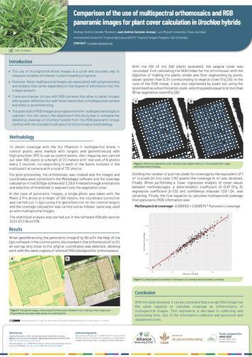 Comparison of the use of multispectral orthomosaics and RGB panoramic images for plant cover calculation in Urochloa hybrids