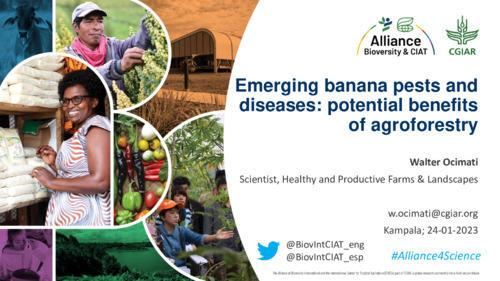 Emerging banana diseases - agroforestry