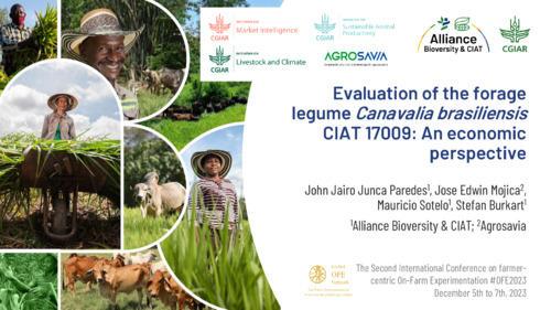 Evaluation of the forage legume Canavalia brasiliensis CIAT 17009 - An economic perspective