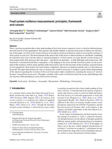 Food system resilience measurement - principles, framework and caveats