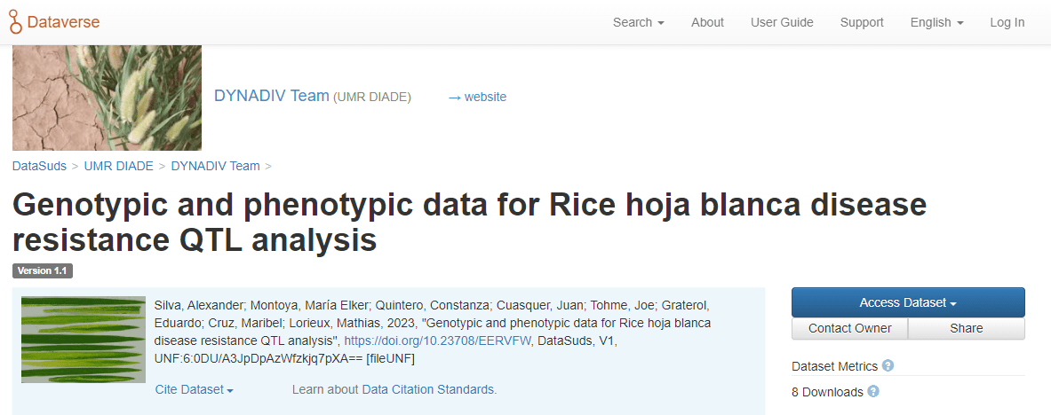 Genotypic and phenotypic data for Rice hoja blanca disease resistance QTL analysis