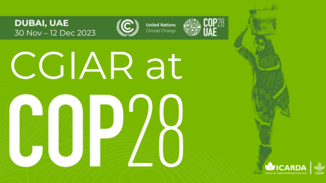 ICARDA at COP28