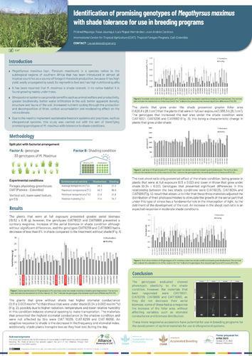 Identification-of-promising-genotypes-of-Megathyrsus-maximus-with-shade-tolerance-for-use-in-breeding-programs