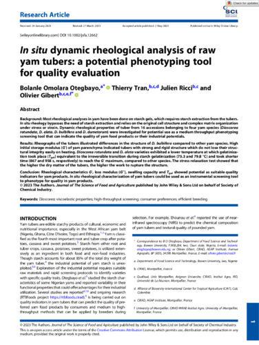 In situ dynamic rheological analysis of raw yam tubers - a potential phenotyping tool for quality evaluation