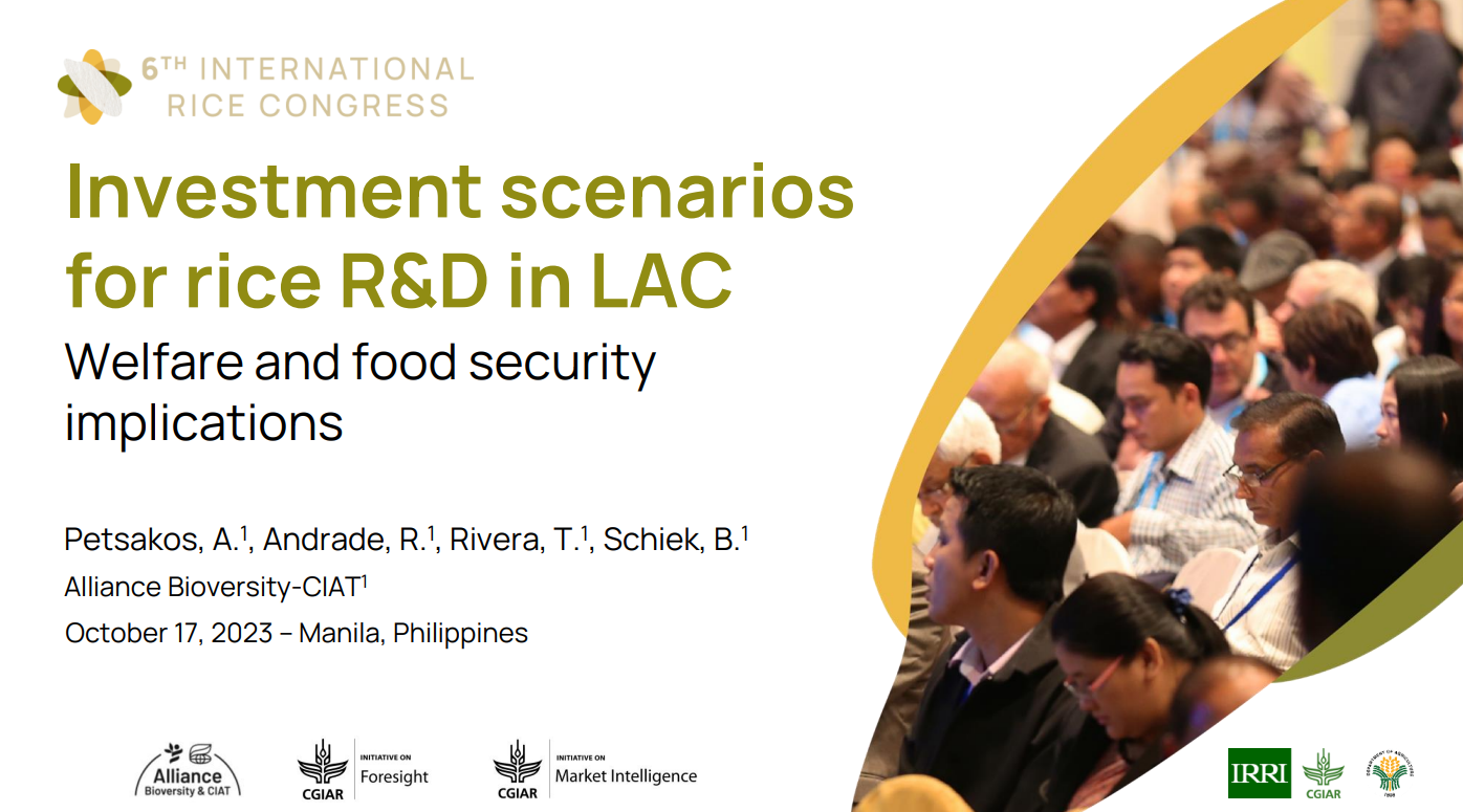 Investment scenarios for rice R&D in LAC welfare and food security implications