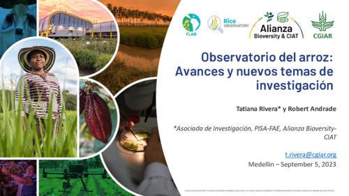 Observatorio del arroz - Avances y nuevos temas de investigación