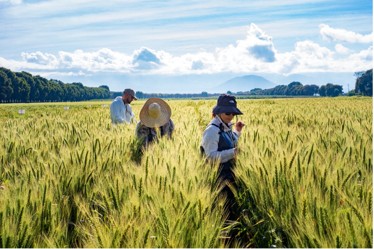 Agrosmart participa da COP28 e lança Nexus