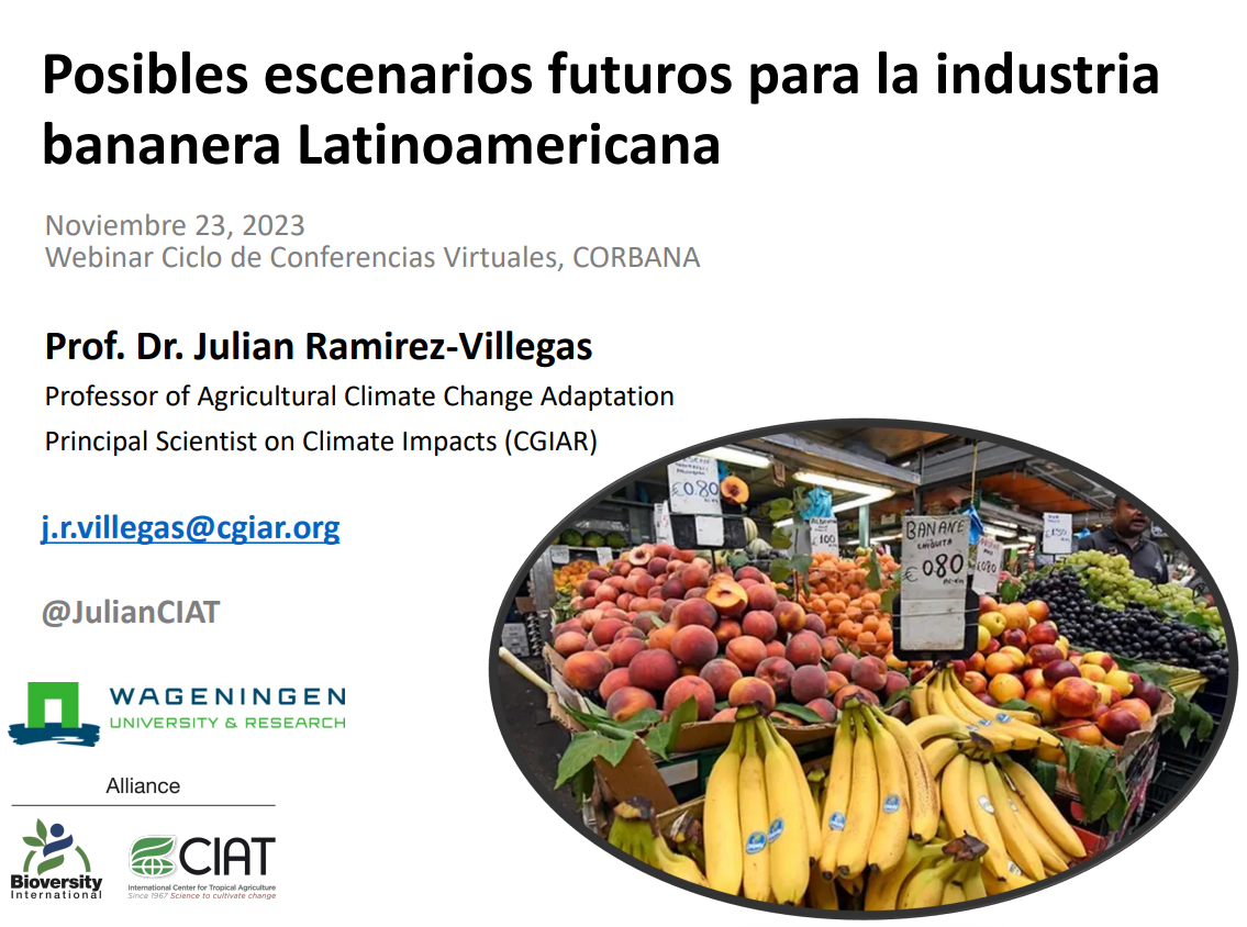 Posibles escenarios futuros para la industria bananera Latinoamericana