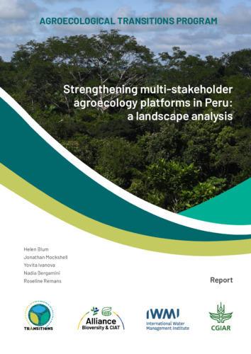 Strengthening multi-stakeholder agroecology platforms in Peru - A landscape analysis