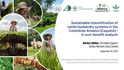Sustainable intensification of cattle husbandry systems in the Colombian Amazon - Caquetá -A cost-benefit analysis