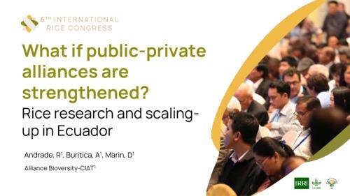 What if public-private alliances are strengthened - Rice research and scaling-up in Ecuador