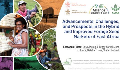 Advancements, challenges, and prospects in the hybrid and improved forage seed markets of East Africa