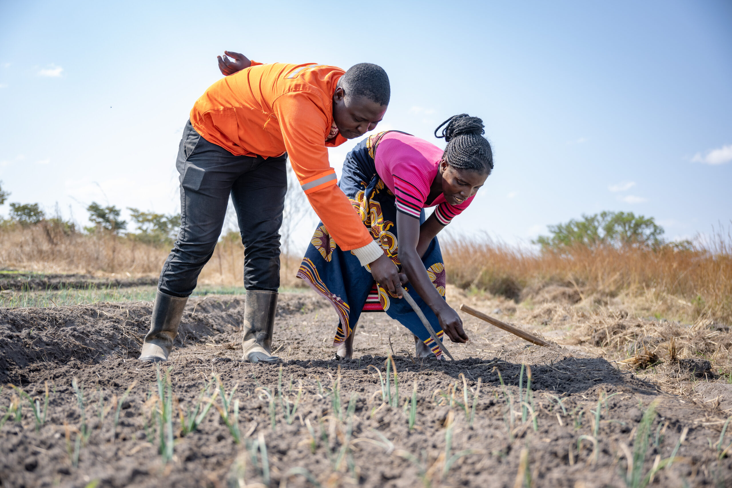 CGIAR launches initiative to transform West and Central Africa's agrifood  systems