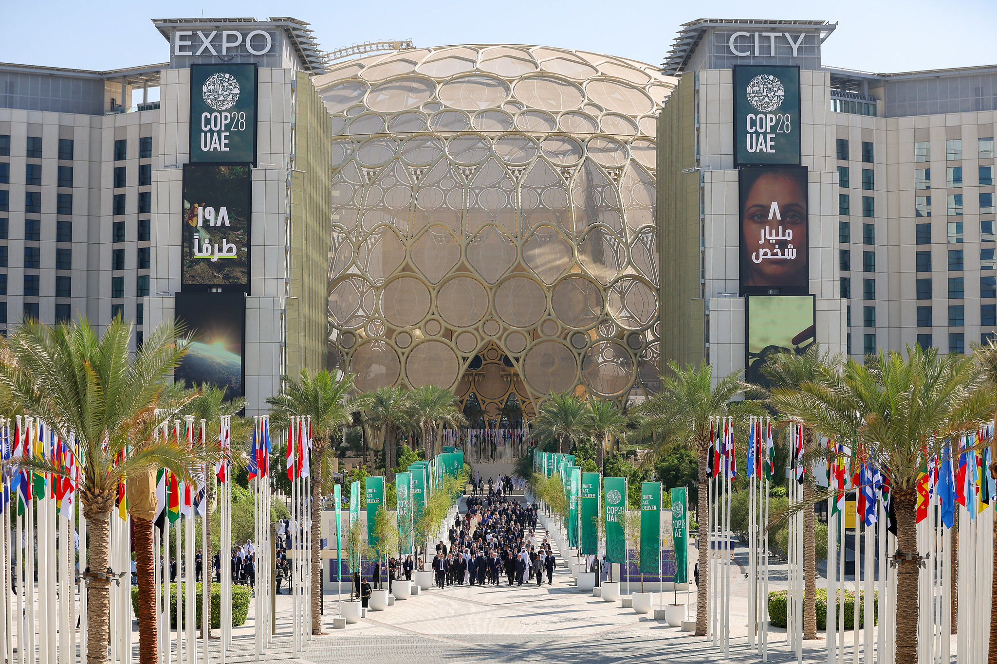 Dubai's Expo City to open 'urban farm' at Cop28