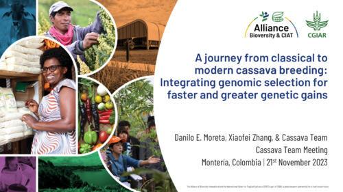 A journey from classical to modern cassava breeding - Integrating genomic selection for faster and greater genetic gains