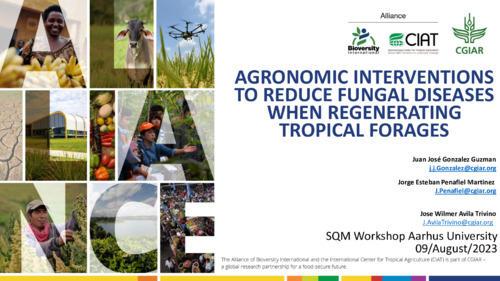 Agronomic interventions to reduce fungal diseases when regenerating tropical forages