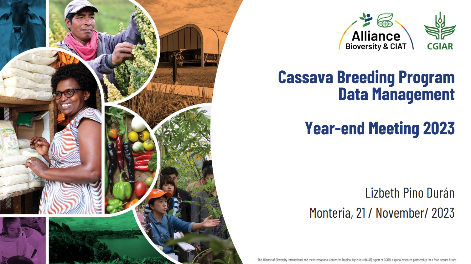 Cassava breeding program data management