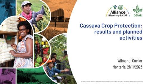 Cassava crop protection results and planned activities